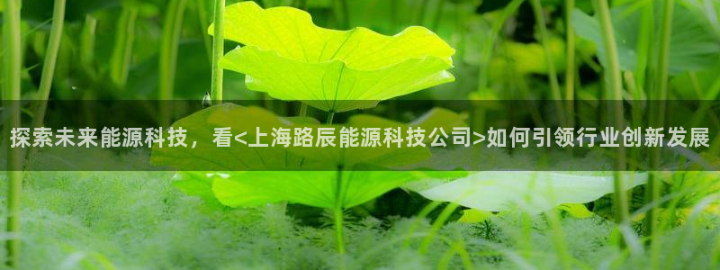 sunbet首页登录入口