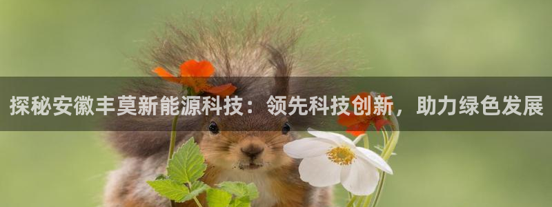 sunbet手机版登录