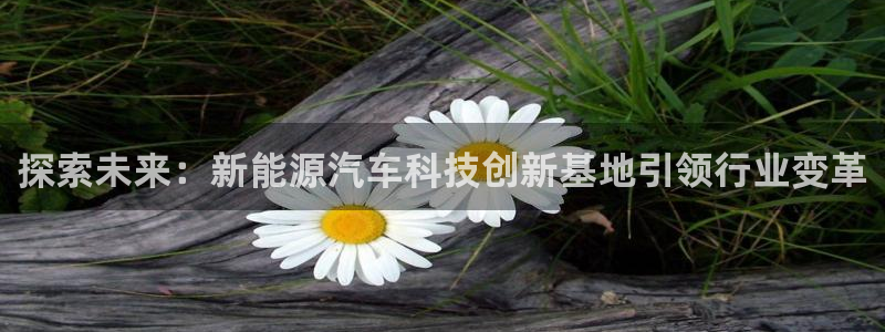 sunbet申搏平台