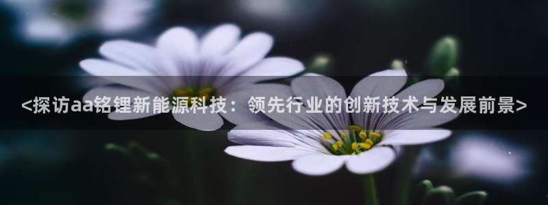 申博手机网址