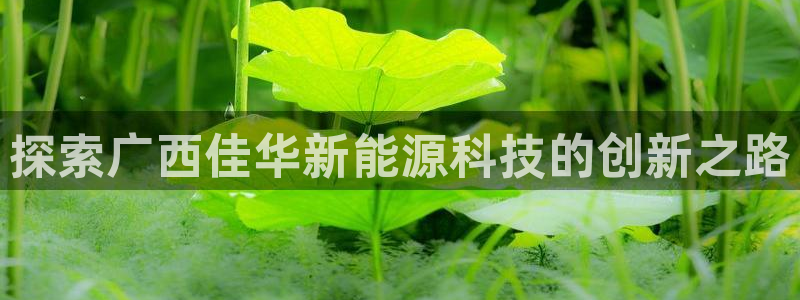 sunbet游戏