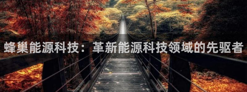 sunbet源码