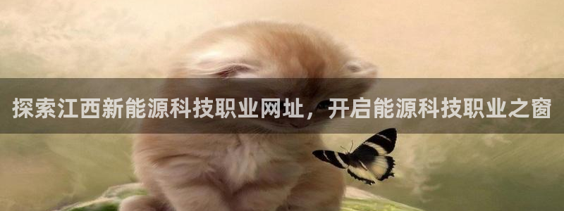 sunbet手机网页版