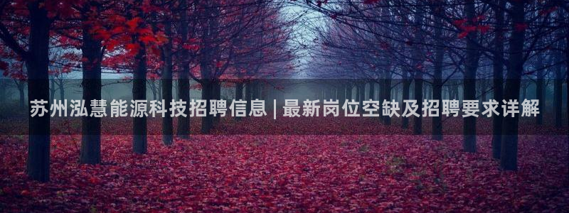 sunbet官网app首页