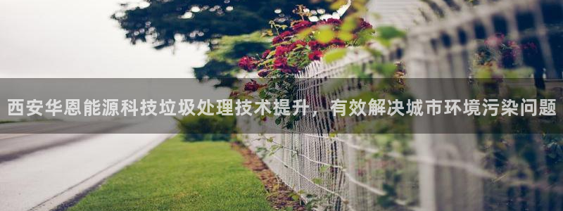 sunbet手机端