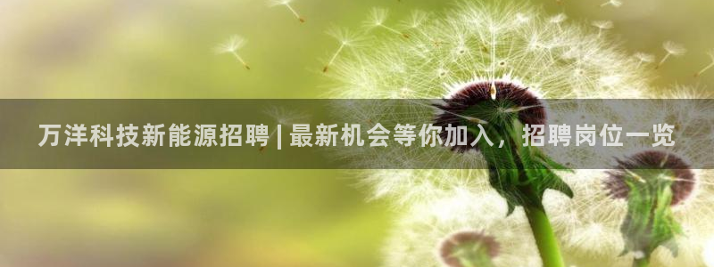 sunbet游戏