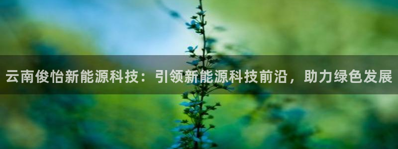 sunbet游戏网