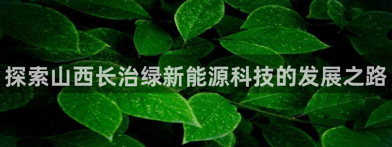 sunbet游戏最新版