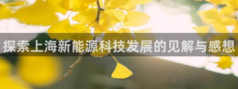 sunbet游戏最新版