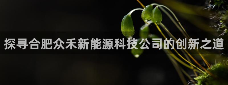 sunbet手机网页版本