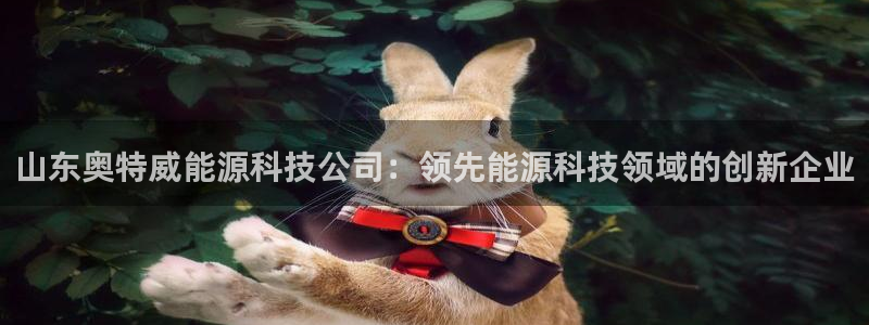 sunbet程序