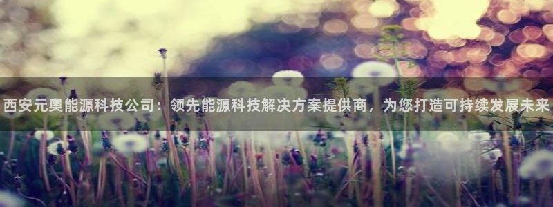sunbet程序