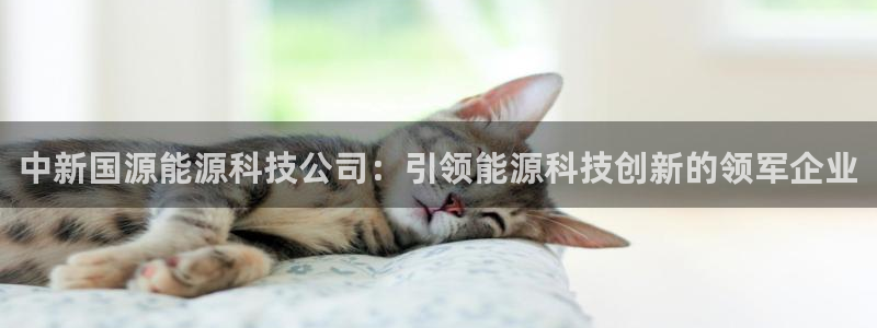 申慱sunbet手机版登