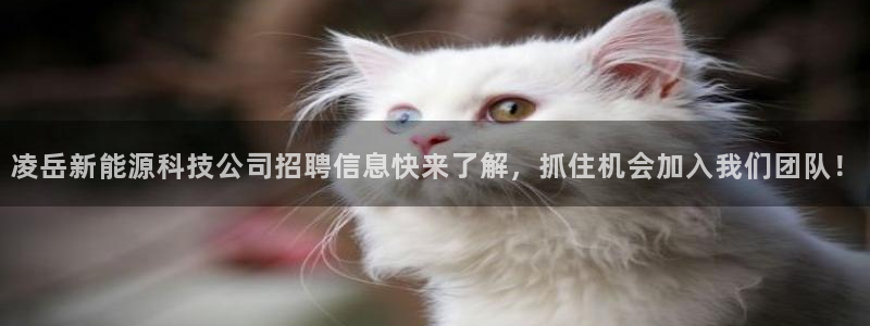 sunbet官网app首页