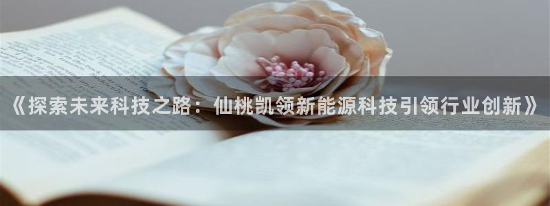 申博官网手机客户端