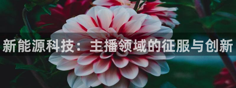 sunbet游戏最新版
