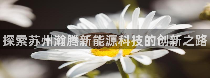 sunbet中文