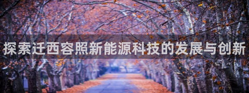 sunbet手机版官网下载