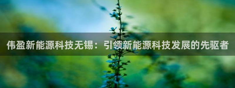 申博官方网站手机版下载