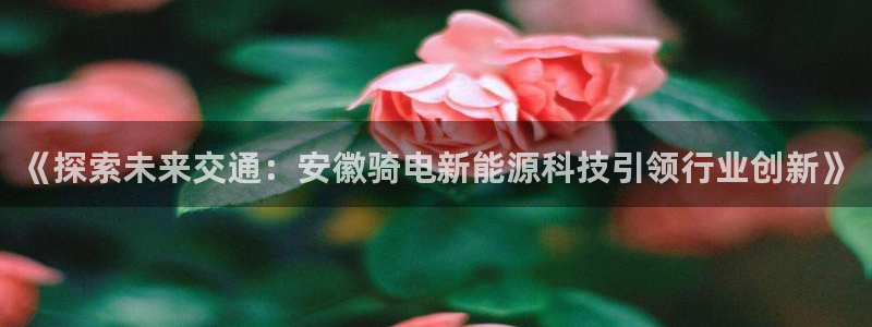 sunbet苹果官网下载