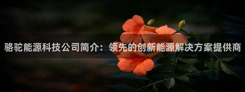 sunbet申搏平台