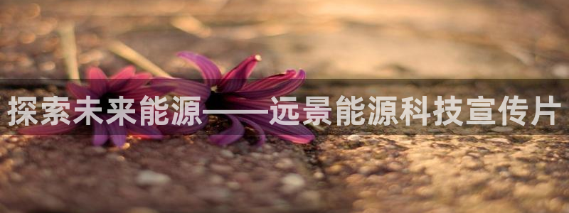 sunbet手机版官网下载