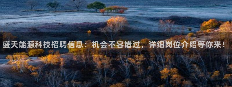 申博手机版app下载