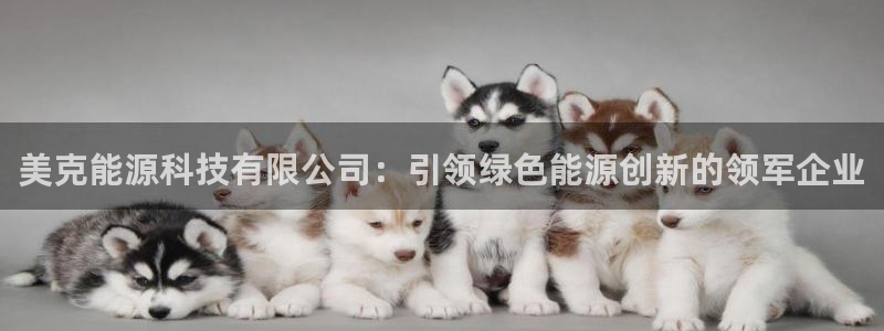 sunbet游戏