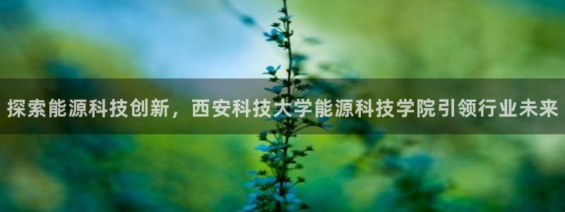 sunbet游戏地址