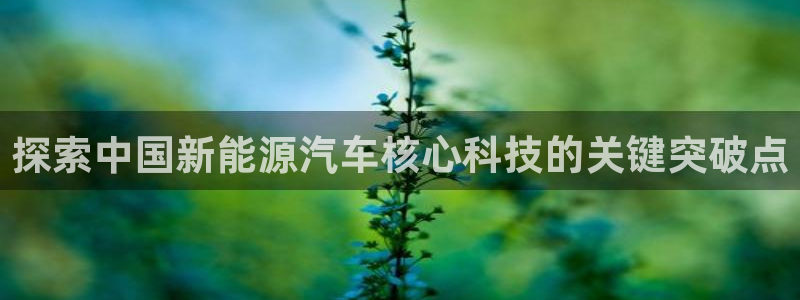 sunbet手机版官网下载