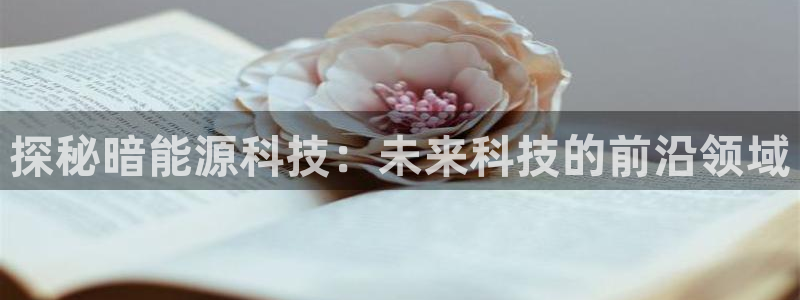 sunbet苹果官网下载