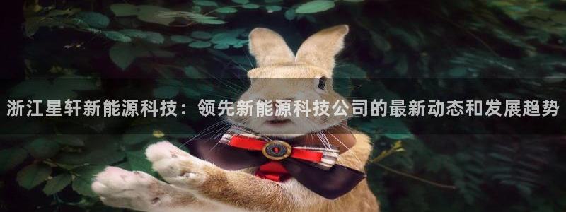 申博手机网站
