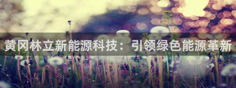 申博手机网站