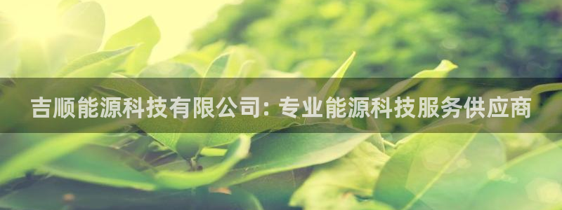 sunbet最新登陆