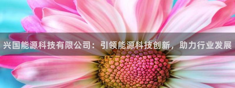 sunbet申搏官网