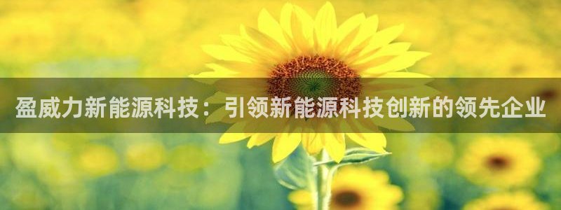 sunbet手机app版