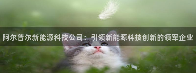 sunbet英语翻译