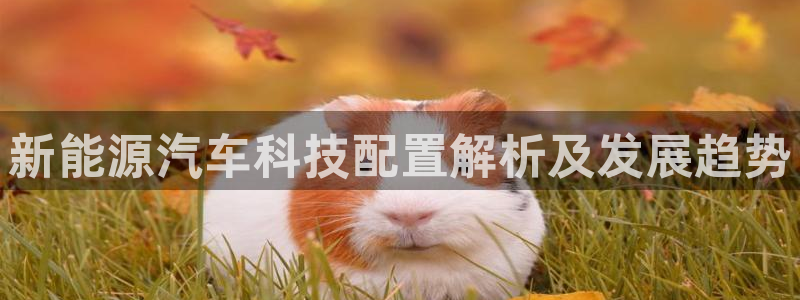 sunbet官网welcome