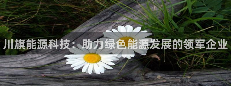 sunbet官网手机版