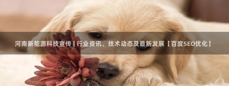 申博app下载