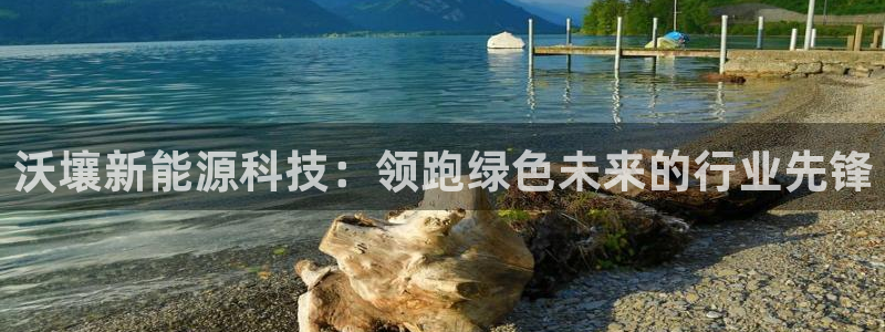 进入sunbet官网手机版登陆