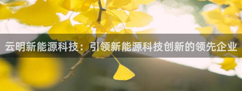 sunbet游戏最新版