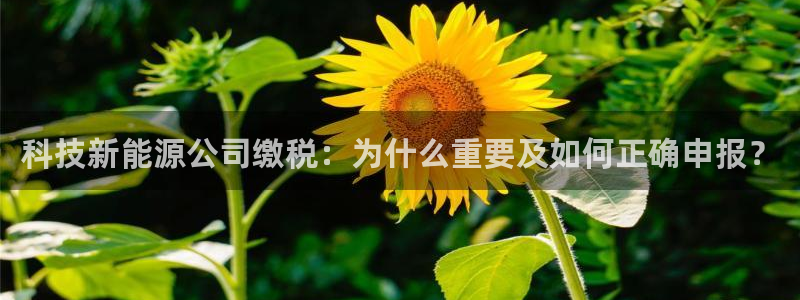 sunbet中文