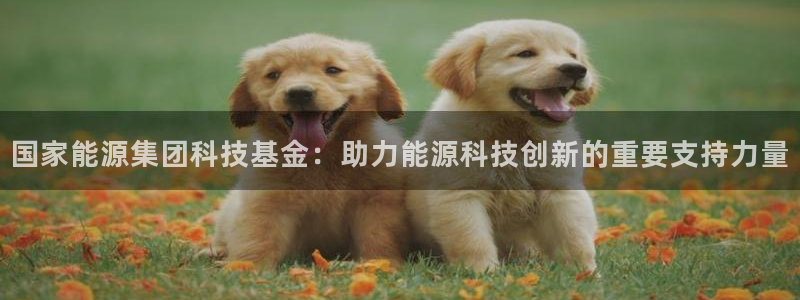 申博手机网址