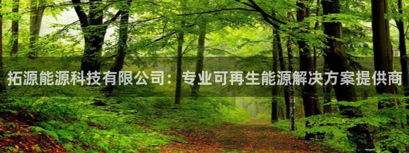 sunbet英语翻译