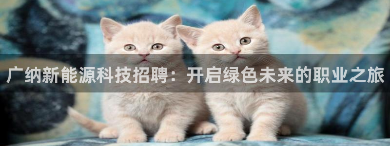 sunbething怎么读