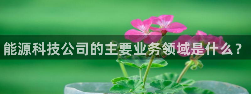 sunbet燃气灶