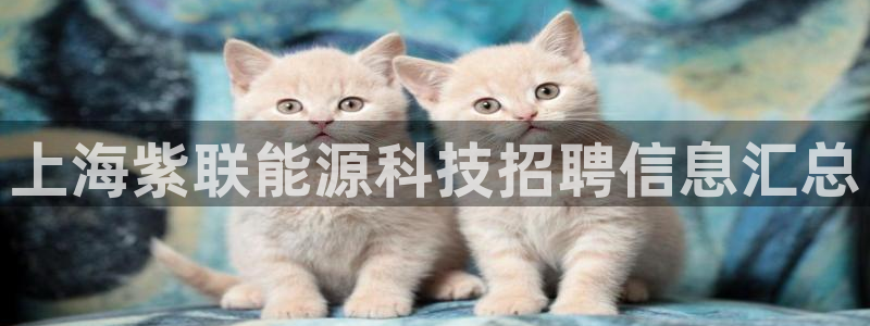 sunbet官网手机版