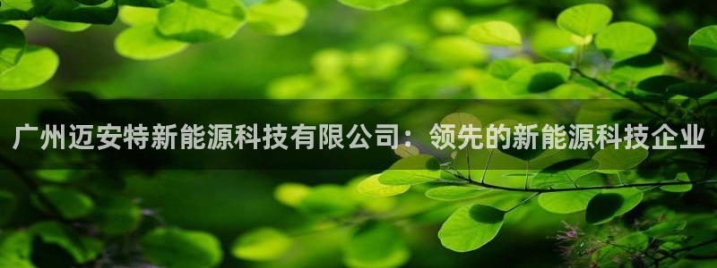 sunbet程序