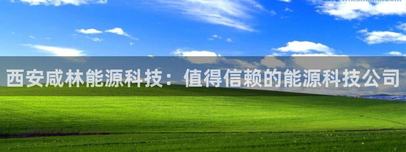 sunbet手机端